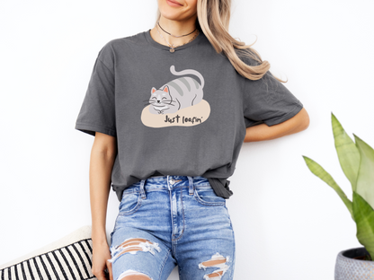 Loafin' Cat Softstyle Unisex T-Shirt